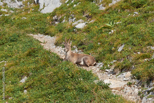 étagne sur un chemin de randonnée photo