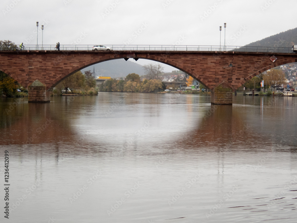 Obraz premium Arched Bridge over the river