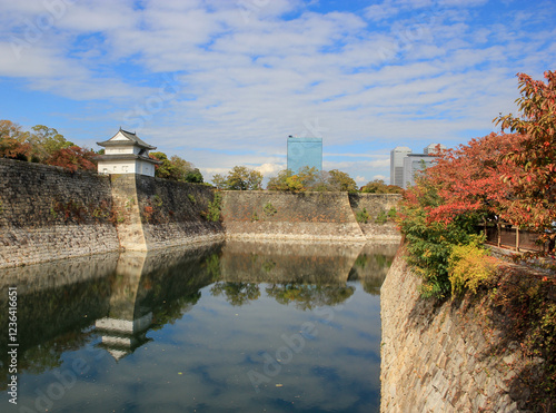 old bridge over the river in autumn
