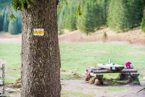 Fototapeta Naklejka Na Ścianę i Meble -  Hiking trail marker painted on a tree and picnic area in the Tatra Mountains in Poland. White and yellow stripe, commonly used for marking official hiking routes in the region.