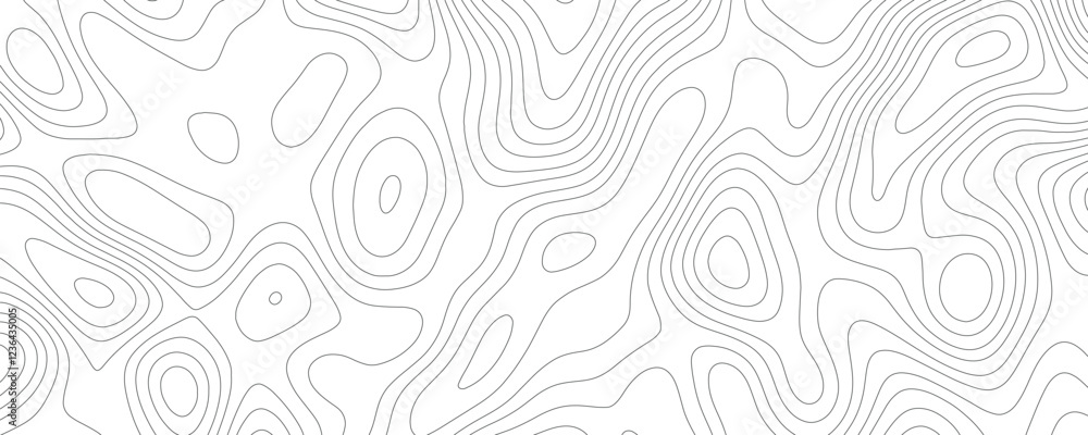 Fototapeta premium Simplified and Elegant Topography Contour Drawing with Smooth Curves and Balanced Composition