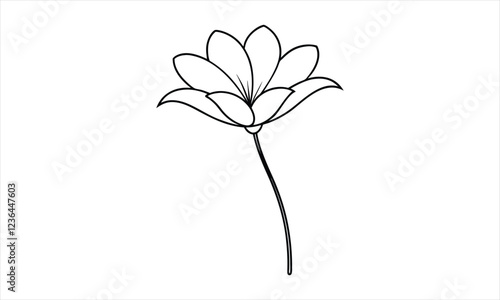 Elegant Lotus Outline on White