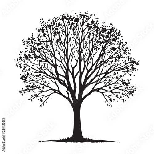 Detailed Elm Tree silhouette for nature-inspired artwork - Elm Tree silhouette - Elm Tree vector - Elm Tree illustration - Elm silhouette - Elm vector
