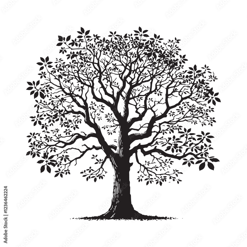 Fototapeta premium Hickory Tree silhouette with a solid base and beautiful textured branches - Hickory Tree silhouette - Hickory Tree vector - Hickory Tree illustration - Hickory silhouette - Hickory vector 