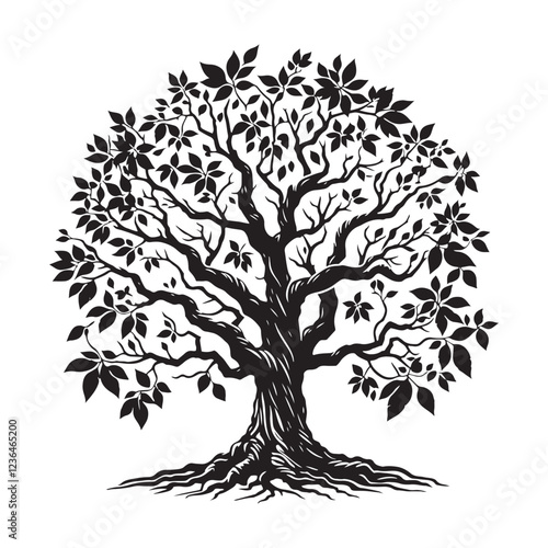 Hickory Tree silhouette with a natural, elegant design for outdoor themes - Hickory Tree silhouette - Hickory Tree vector - Hickory Tree illustration - Hickory silhouette - Hickory vector
