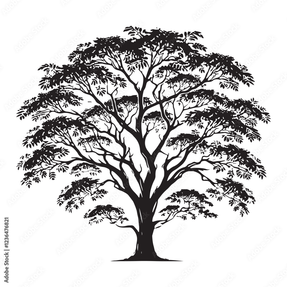 Obraz premium Forest-inspired Mahogany Tree silhouette with organic elements - Mahogany Tree silhouette - Mahogany Tree vector - Mahogany Tree illustration - Mahogany silhouette - Mahogany vector 