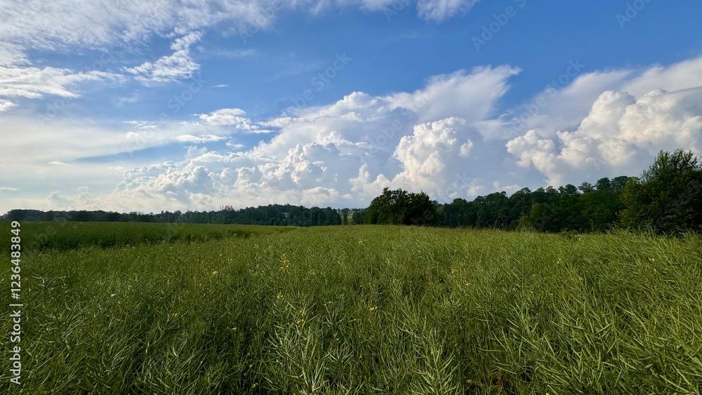 clouds rolling into the fields clouds rolling into the fields