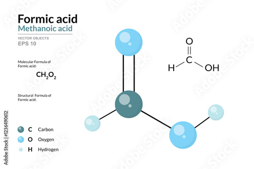 Formic Acid. Methanoic Acid. Structural Chemical Formula and 3d Model of Molecule. CH2O2. Atoms with Color Coding. Vector Graphic Illustration for Educational Materials, Scientific Articles