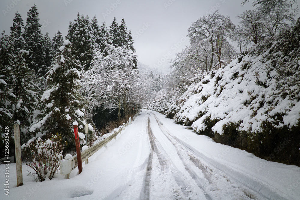 降り積もる雪で白く覆われた滑りやすい雪道 降り積もる雪で白く覆われた滑りやすい雪道