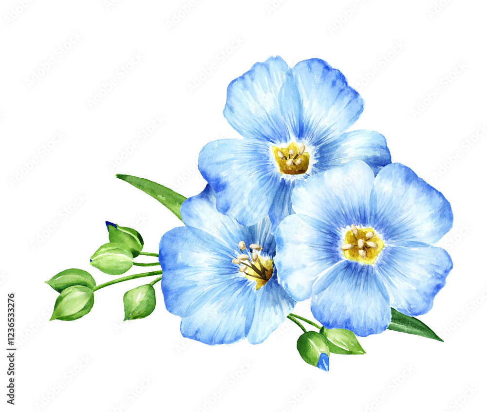 Fototapeta premium Blue flax flowers. Watercolor hand painted illustration isolated on white background