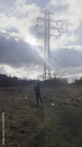 walk with the dog 
