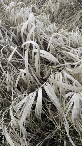 close up of rope