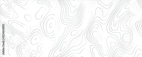 Intricate mapping illustration featuring layered organic curves and dynamic structure
