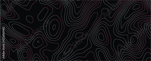 Intricate visualization featuring dynamic maze-like contours and layered line design
