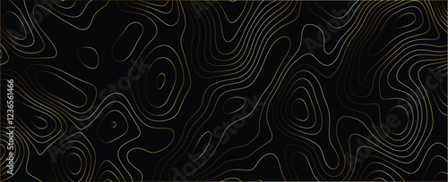 Intricate visualization featuring dynamic maze-like contours and layered line design
