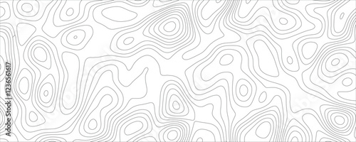 Sophisticated mapping artwork with intricate interlaced line structures and organic flow
