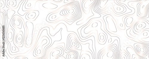 Modern illustration with elegant fluid curves and complex organic contours

