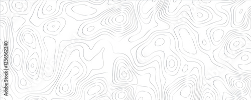 Detailed mapping design with innovative maze-like patterns and organic line structure
