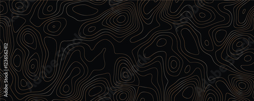 Detailed mapping design with innovative maze-like patterns and organic line structure
