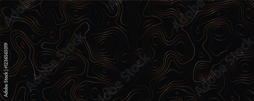Minimalist topographic artwork with dynamic maze-like structures and elegant line interplay
