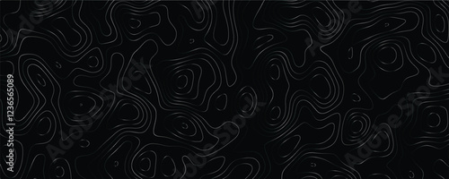 Minimalist topographic artwork with dynamic maze-like structures and elegant line interplay
