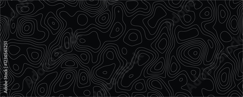 Complex topographic illustration showcasing layered contours and flowing natural curves
