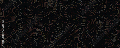 Modern topographic mapping with detailed interwoven line patterns and structural elegance
