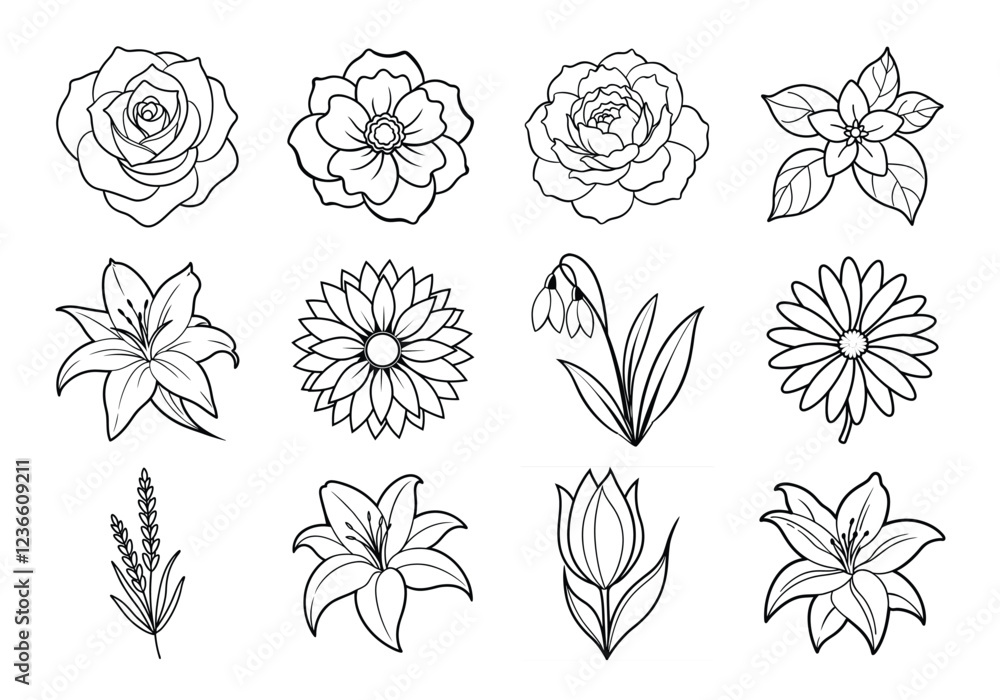 Flowers liner art set. Flowers vector bundle isolated on white background Flowers liner art set. Flowers vector bundle isolated on white background