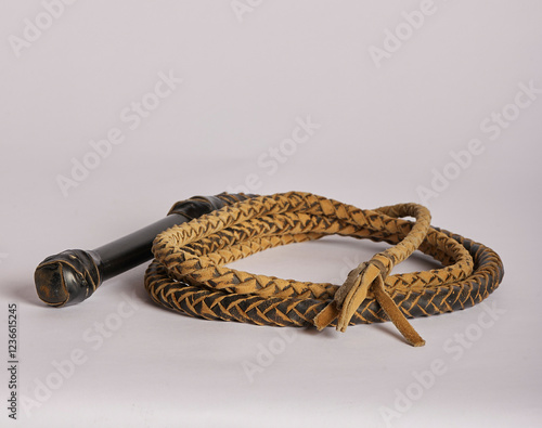 StillLife37-03 bull whip