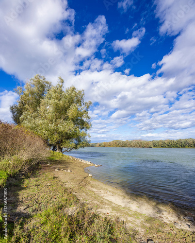 Gemenc, unique forest between Szekszard and Baja, Dunaj-Drava National Park, Hungary photo