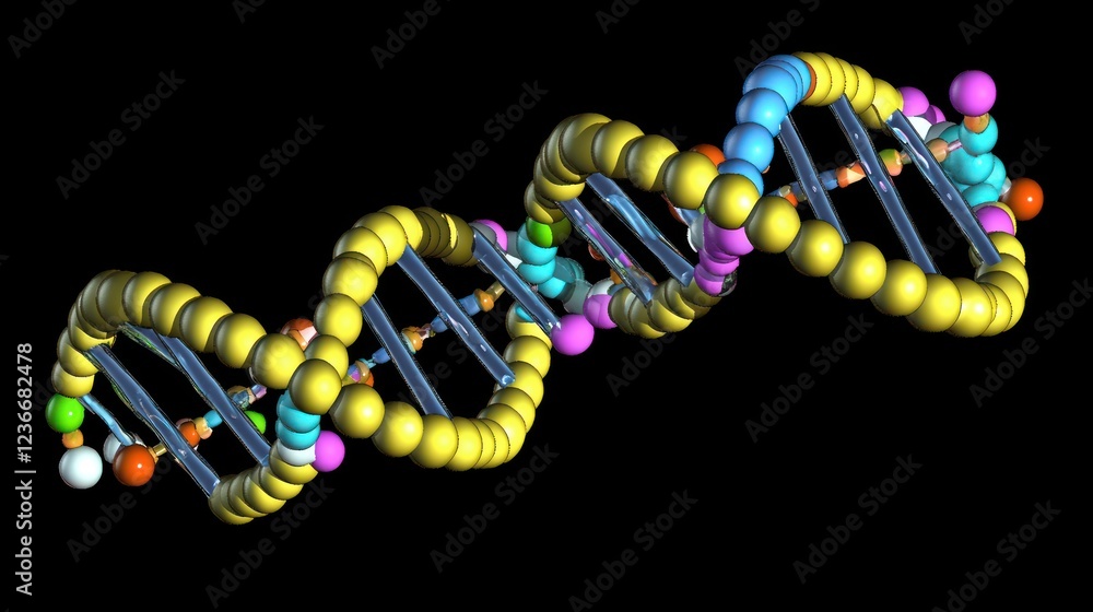 Colorful 3D Model of DNA Double Helix: A Visual Representation of Genetic Code Colorful 3D Model of DNA Double Helix: A Visual Representation of Genetic Code