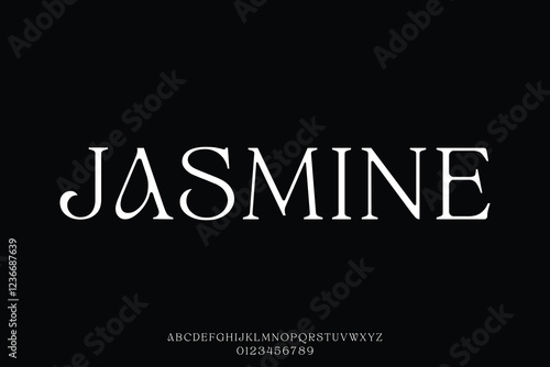Elegant luxury feminine serif alphabet display font vector for branding