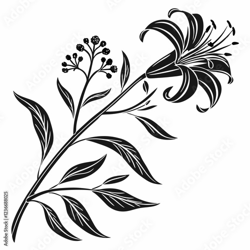 Bai sanicle vector silhouette black design white background