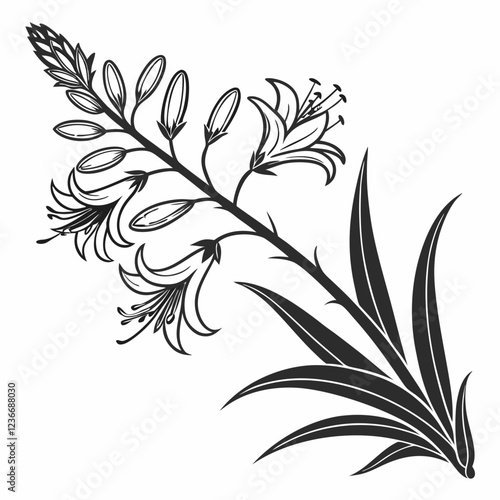 Bai sanicle vector silhouette black design white background