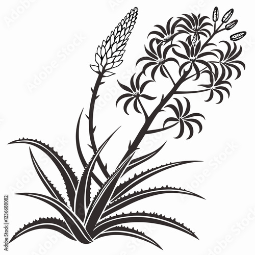 Bai sanicle vector silhouette black design white background