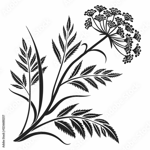 Bai sanicle vector silhouette black design white background