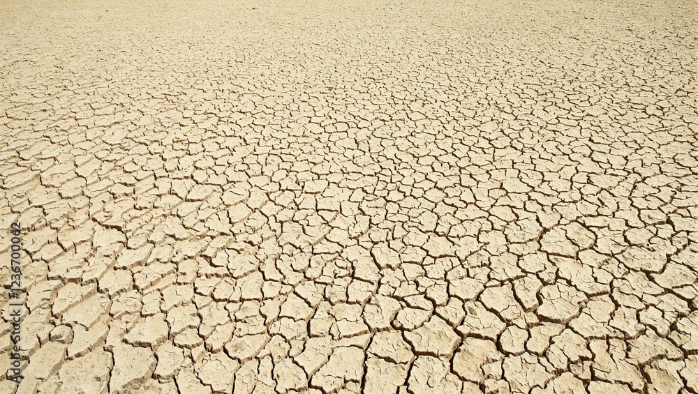 Abstract background of cracked dry earth in light brown and beige shades with intricate patterns Abstract background of cracked dry earth in light brown and beige shades with intricate patterns