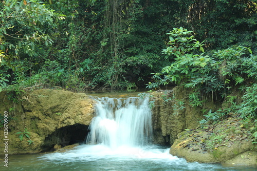 waterfall in the forest