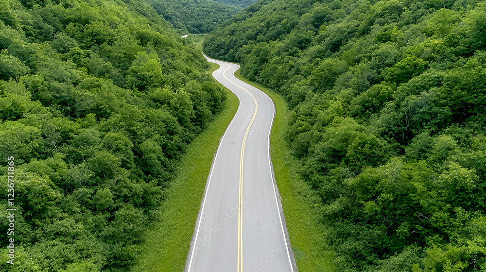 Winding road through lush green forest, aerial view Winding road through lush green forest, aerial view