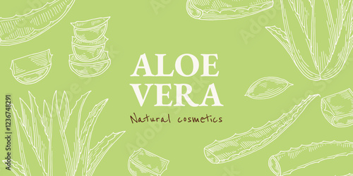 Aloe vera background banner template. Natural cosmetics ingredient. Hand drawn ink sketch plant from package design. Ecology concept in beauty industry. Vector illustration.