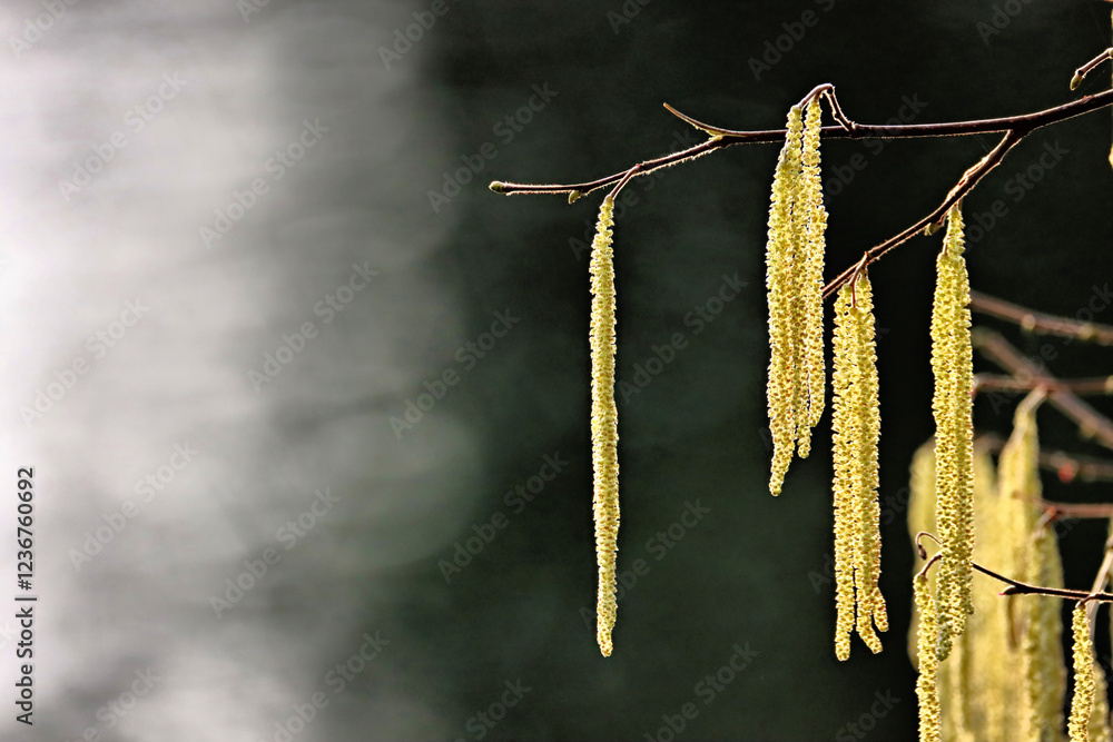 Naklejka premium Hanging Out