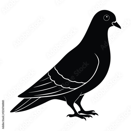 pigeon