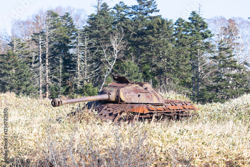 Old rusty soviet panzer . Kunashir Island. Southern Kuriles photo