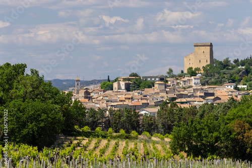 Typical vineyard with stones near Chateauneuf-du-Pape, Cotes du Rhone, France photo