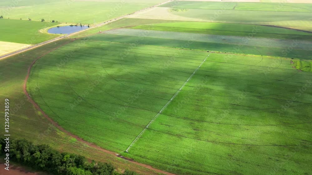 Aerial view of an irrigation machine in a green field Aerial view of an irrigation machine in a green field