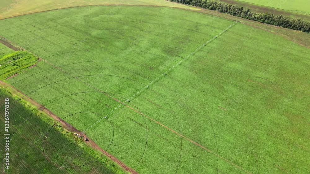 Aerial view of an irrigation machine in a green field Aerial view of an irrigation machine in a green field