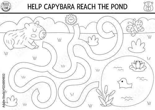 Black and white maze for kids with capybara going to pond through summer meadow. Capibara preschool printable activity, coloring page with cute animal. Labyrinth game or puzzle