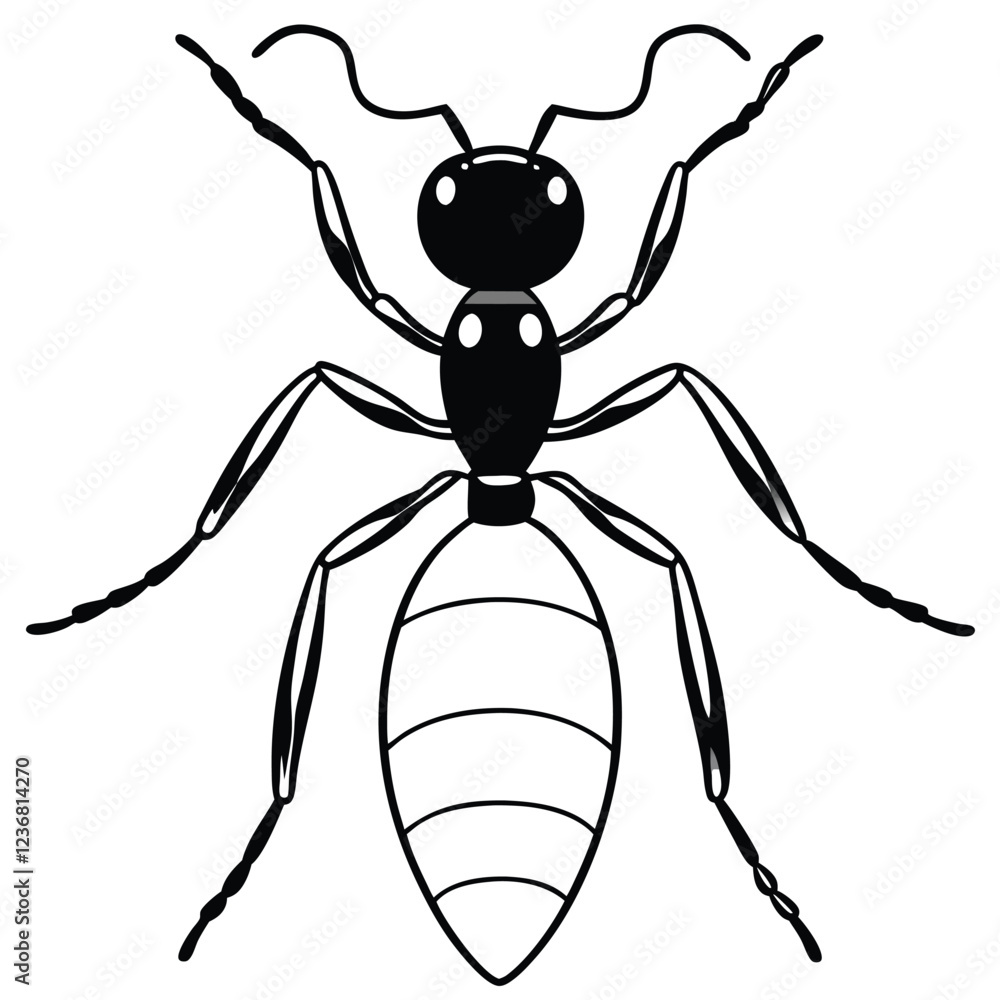 The ideal vector silhouette of an ant The ideal vector silhouette of an ant