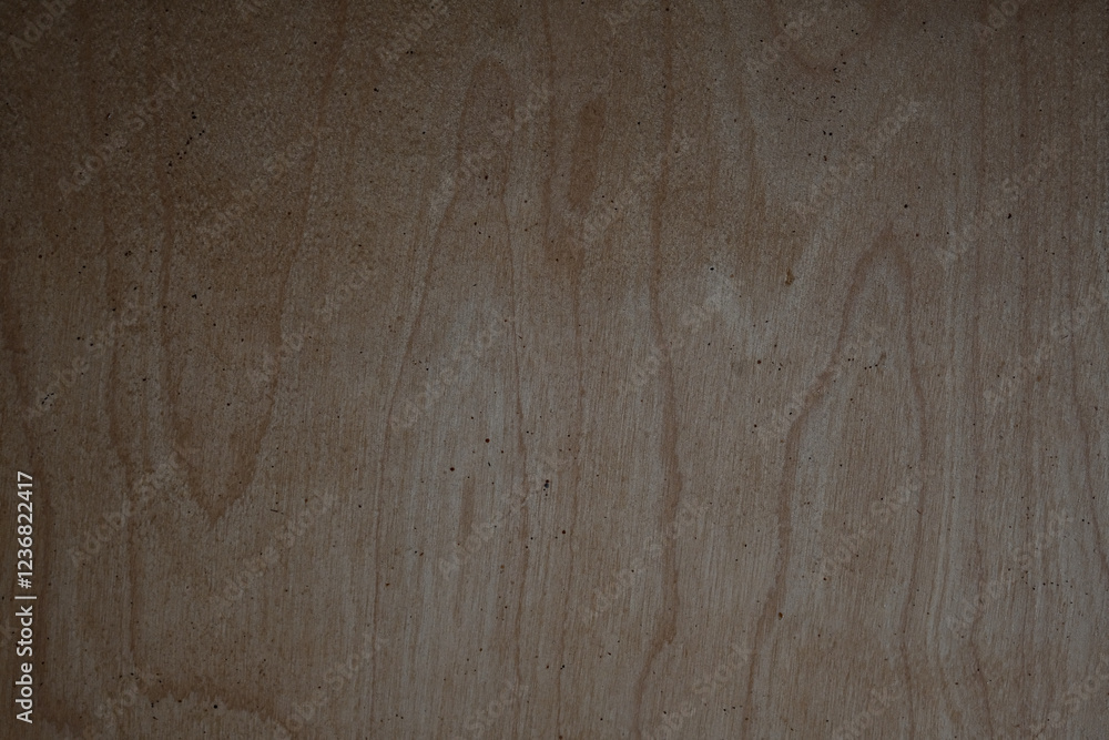 Obraz premium light brown birch wood veneer