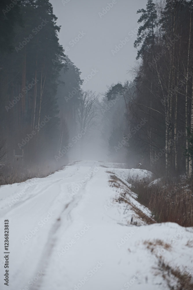 Naklejka premium landscape with snow covered forest road and evening fog